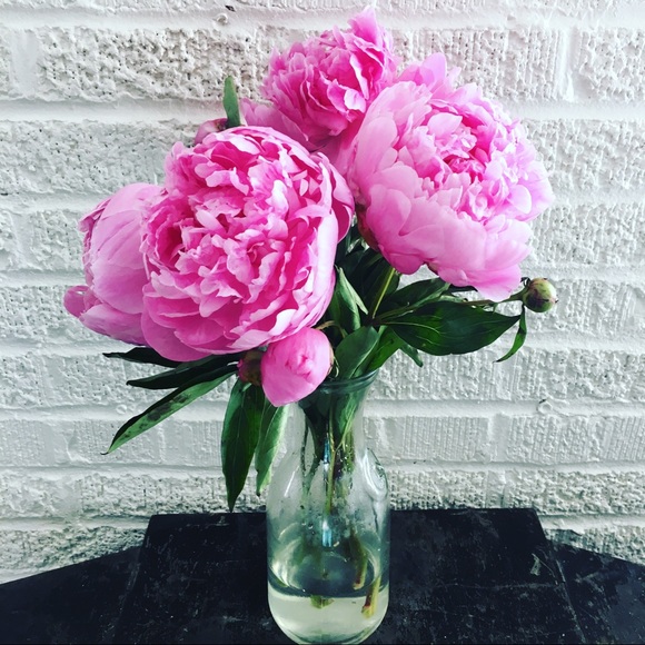 Meet your Posher, Angeline - Picture 6 of 6